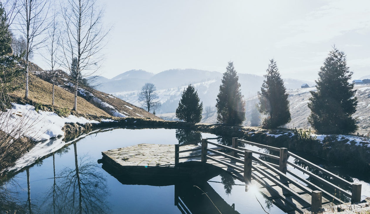 L'hivernage actif : qu'est-ce que c'est et comment le faire ?