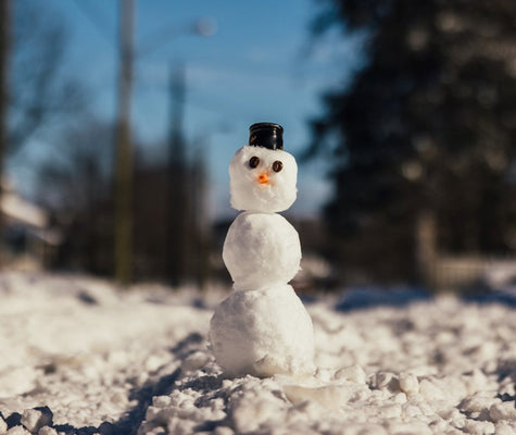 L'hivernage passif : qu'est-ce que c'est et comment le faire ?