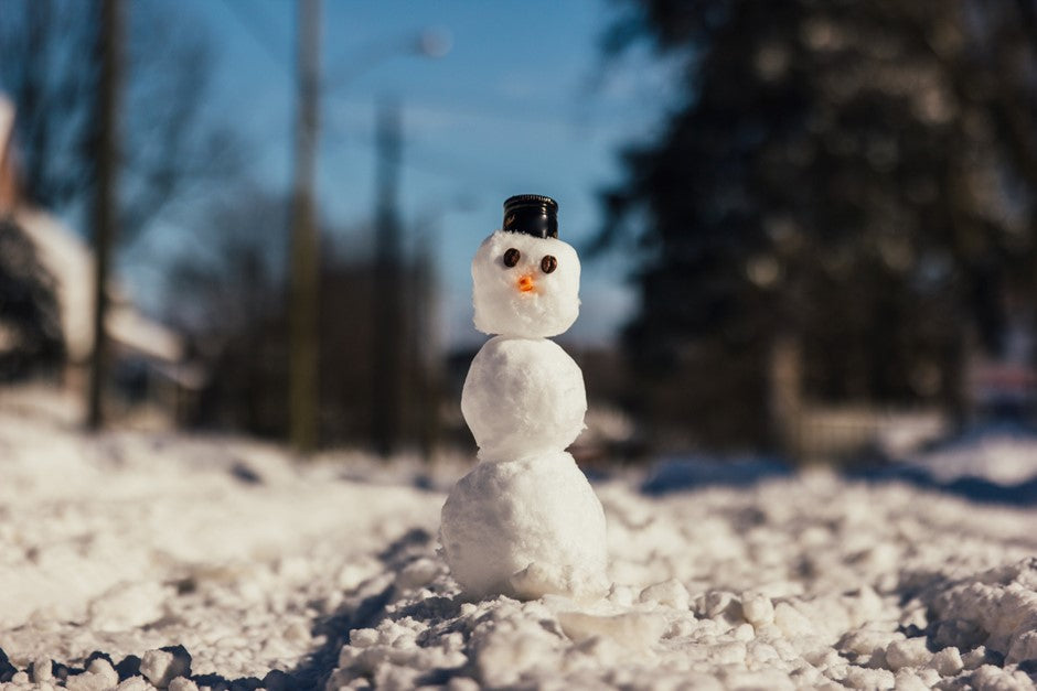L'hivernage passif : qu'est-ce que c'est et comment le faire ?