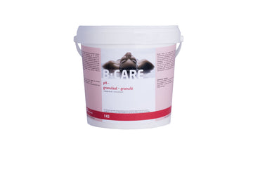 pH Moins granulé 1 kg - correcteur de pH efficace