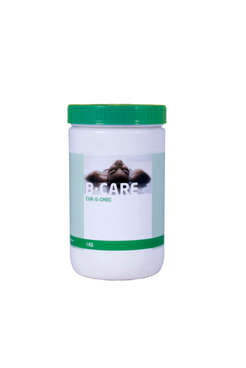 Chlore choc Eur-O-Choc Rapide en tablettes 1 kg - désinfecton rapide de l'eau